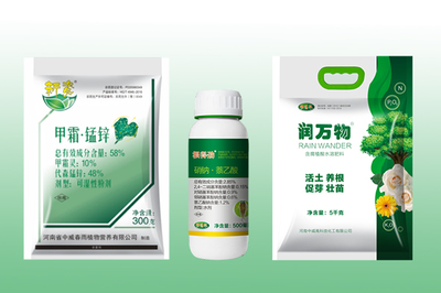 春季綠化工程樹木養護與大樹移栽成活率提升策略